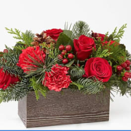 Rustic Winter