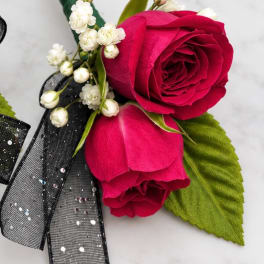 Close-up of two hot pink roses with white buds and a black ribbon