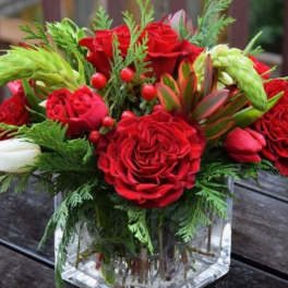 Cube of red roses