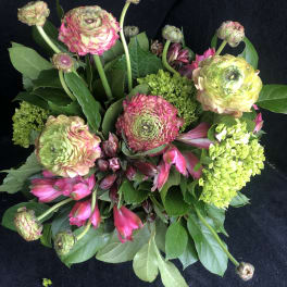 Ranunculus