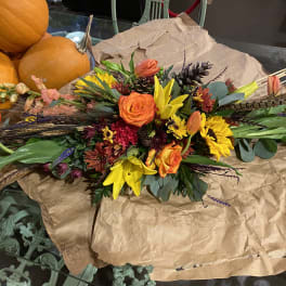 Harvest Bounty
