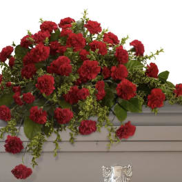 Red carnation arrangement draped over a gray casket