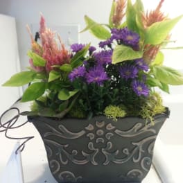Dish Garden