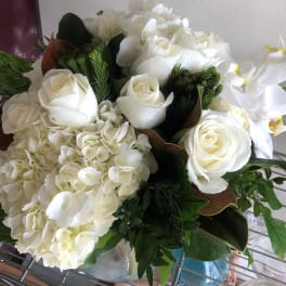 White Sugar Magnolias
