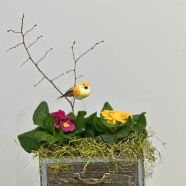 Country Treasure Box Garden by Westford Florist Art by Veny