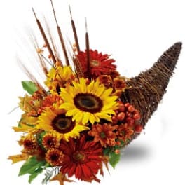 Country Cornucopia