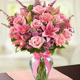 Expressions of Pink