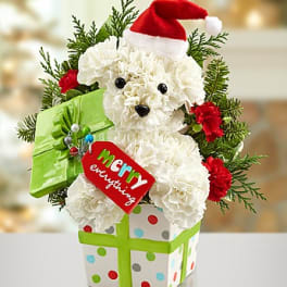 Santa Paws