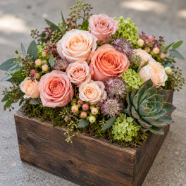 Pink and peach roses in a wooden box with succulents