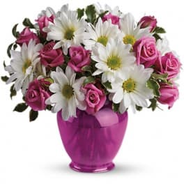 Pink roses and white daisies in a magenta vase