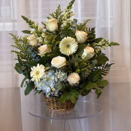 Basket arrangement of cream roses, white gerberas, and blue hydrangea