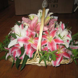Fire Side and other Baskets