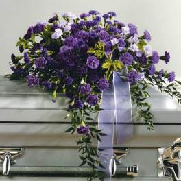 SF35-11 - John Henry Sympathy