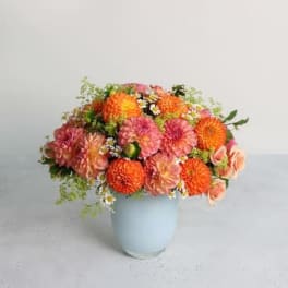 Dahlia Harvest