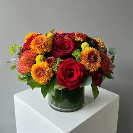 Autumn Blooms