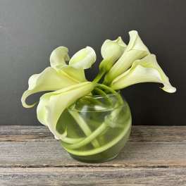 Curving Callas- Call to Order