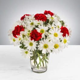 Daisy Crazy by BloomNation™