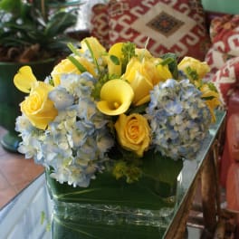 Yellow roses and blue hydrangeas arranged in a square glass vase
