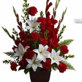 Tender Tribute