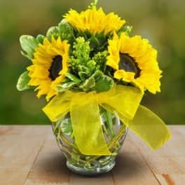 Sunflower bouquet in a glass vase with a yellow ribbon