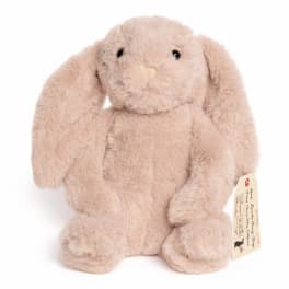 Plush beige bunny toy with long floppy ears and a hang tag