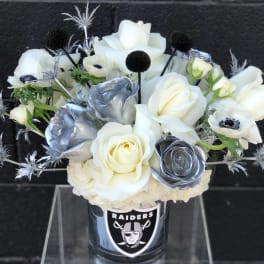 Welcome to Raider Nation