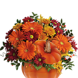 Fall pumpkin