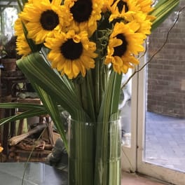 Hello Sunshine