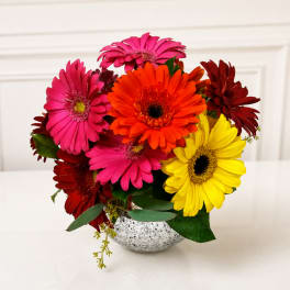 Bright gerbera daisy bouquet in a silver vase