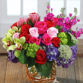 Bountiful and bright