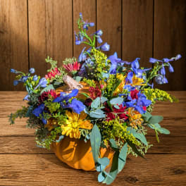 Mixed flower arrangement in a pumpkin-shaped container