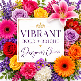 Vibrant Sunshine