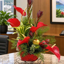 Red anthurium arrangement in a red container with a plaid ribbon