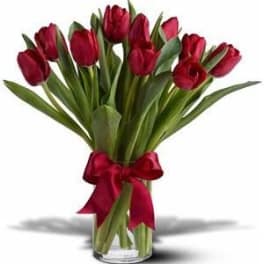 White Tulips
