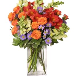 Fall Flower Power by Flower Shop Network
