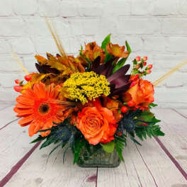 Trendy Autumn Cube