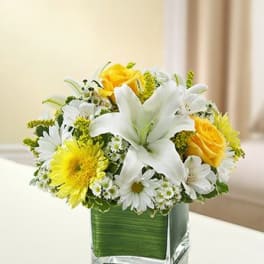Healing Hearts Yellow and White
