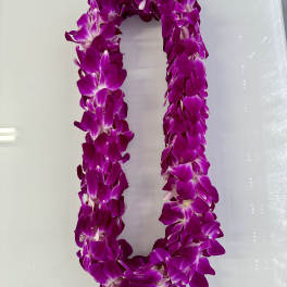 Purple orchid lei on a white background
