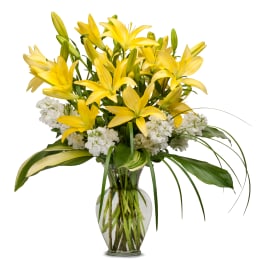 Yellow lilies arranged in a clear glass vase with white flowers