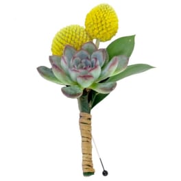 Small succulent boutonniere with yellow pom-pom flowers