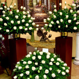 3pc White Rose Package
