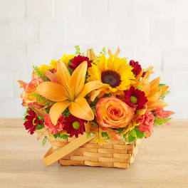 Fields Of Europe Basket