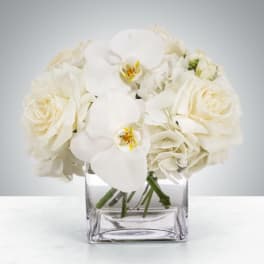 Linen by BloomNation™