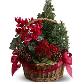 Basket of red flowers and evergreen plants with pinecones and ribbon
