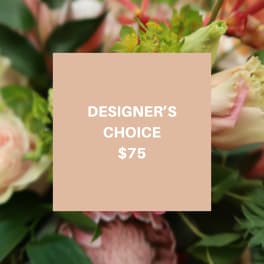 Designer's choice floral arrangement with pink and cream blooms