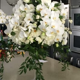Large white orchid arrangement in a clear vase with trailing greenery