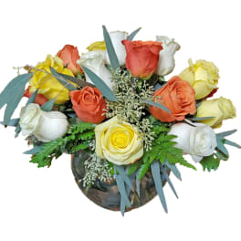 Harvest Moon Roses