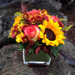 Bouquet of sunflowers, roses, and chrysanthemums in a square glass vase