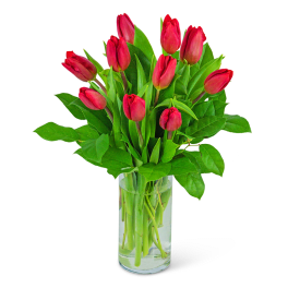 Red tulips arranged in a clear glass vase