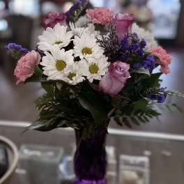 Daisy Delight